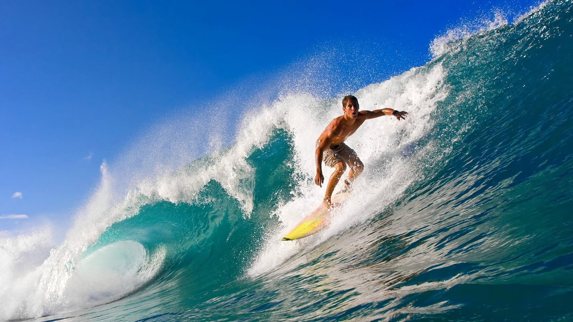 _赛事清单：今年不容错过的全部比赛汇总_，赛事2021