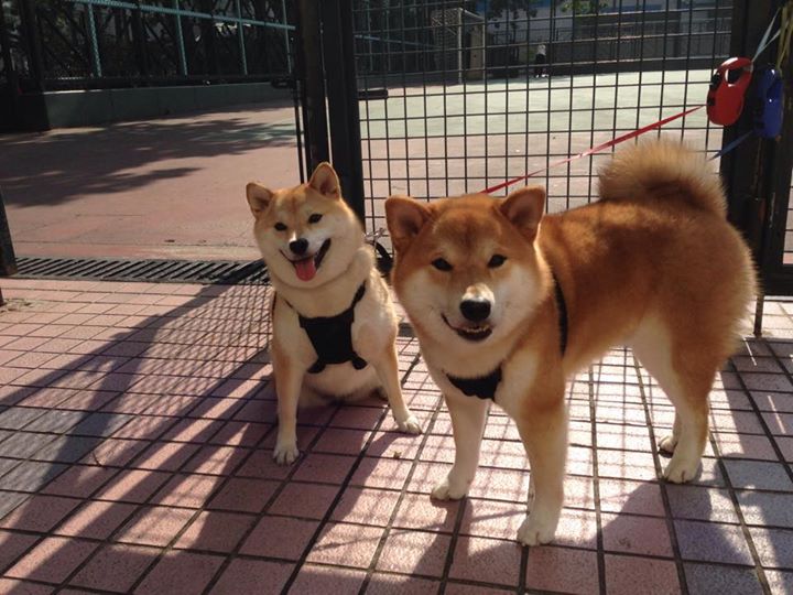 勒布朗·詹姆斯成为NBA历史上第一位突破4万分大关的球员。,勒布朗詹姆斯破纪录